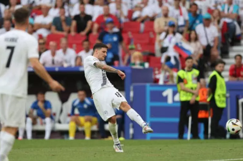 هدف إريك جانزا لاعب منتخب سلوفينيا في الدنمارك